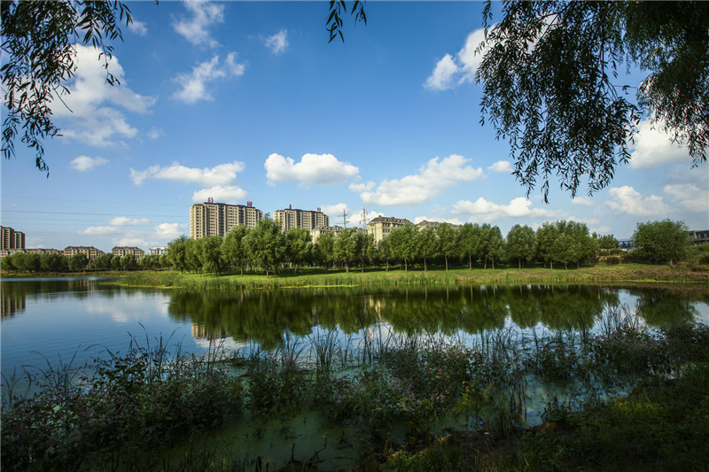 5U8J0094.jpg 5U8J0094.jpg