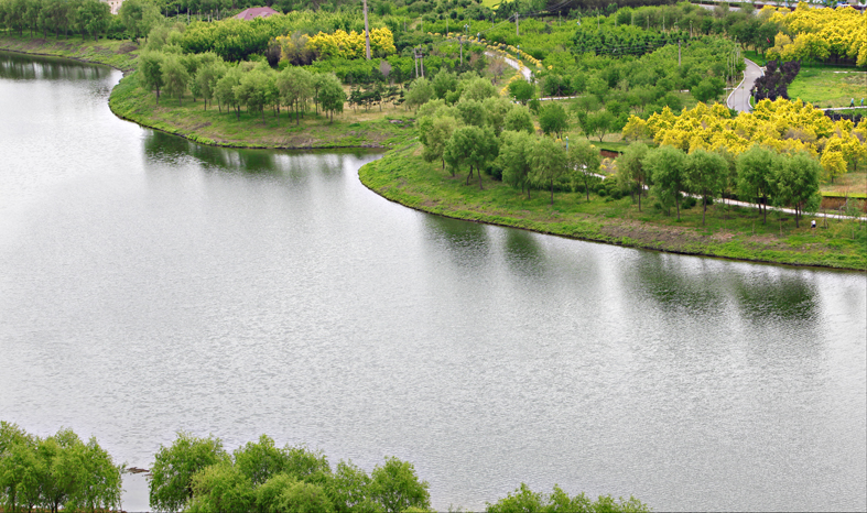 青年公园实拍图.jpg 青年公园实拍图.jpg